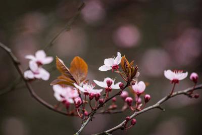 Прикрепленное изображение: LnYam2os0Wg.jpg